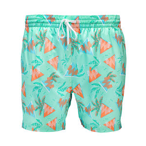 Chubbies? 90s Lined Swim Trunks